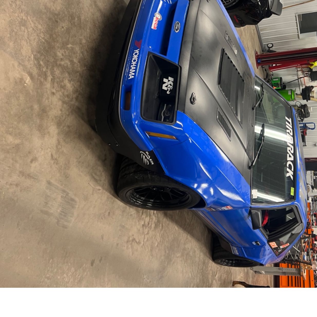 Profile of Lauren Feist