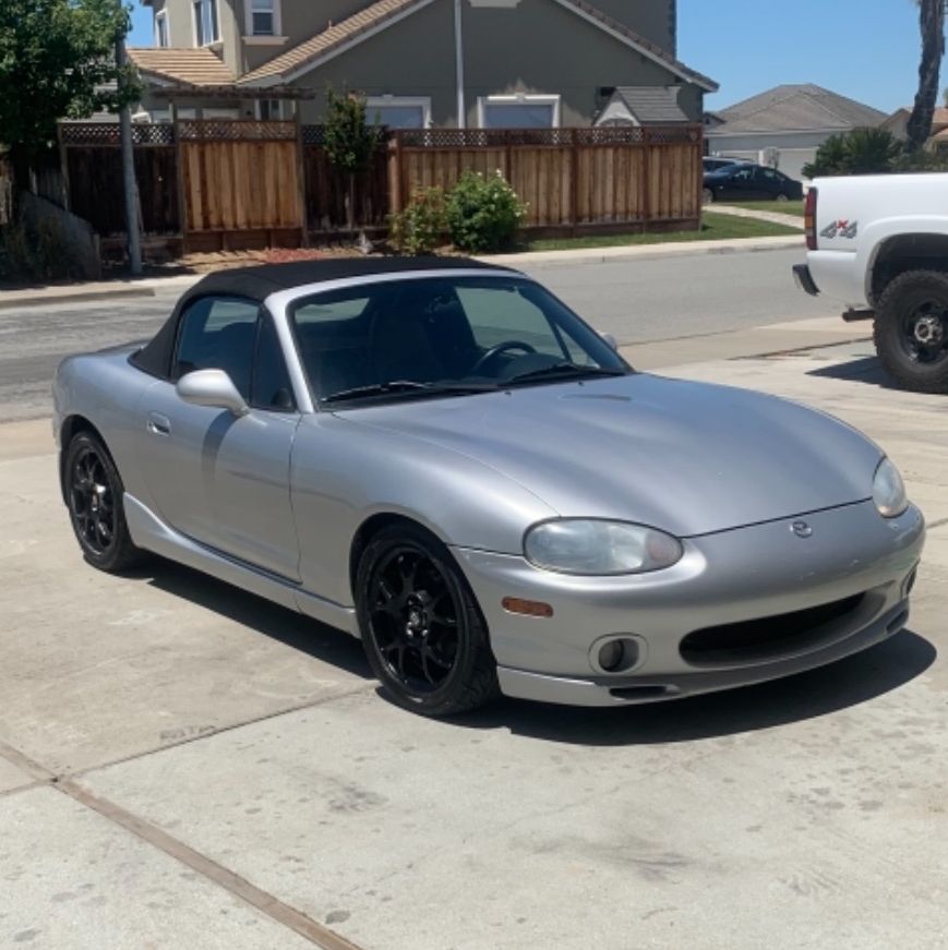 Profile of Andrew Homan