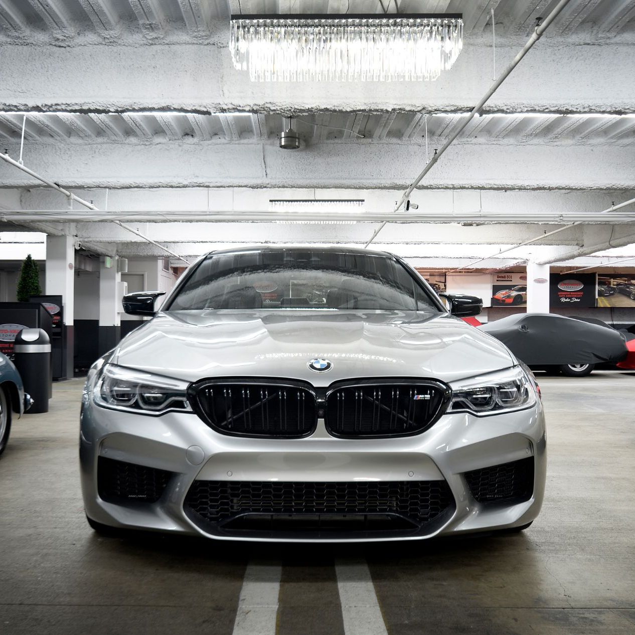 Profile of Gene Bush