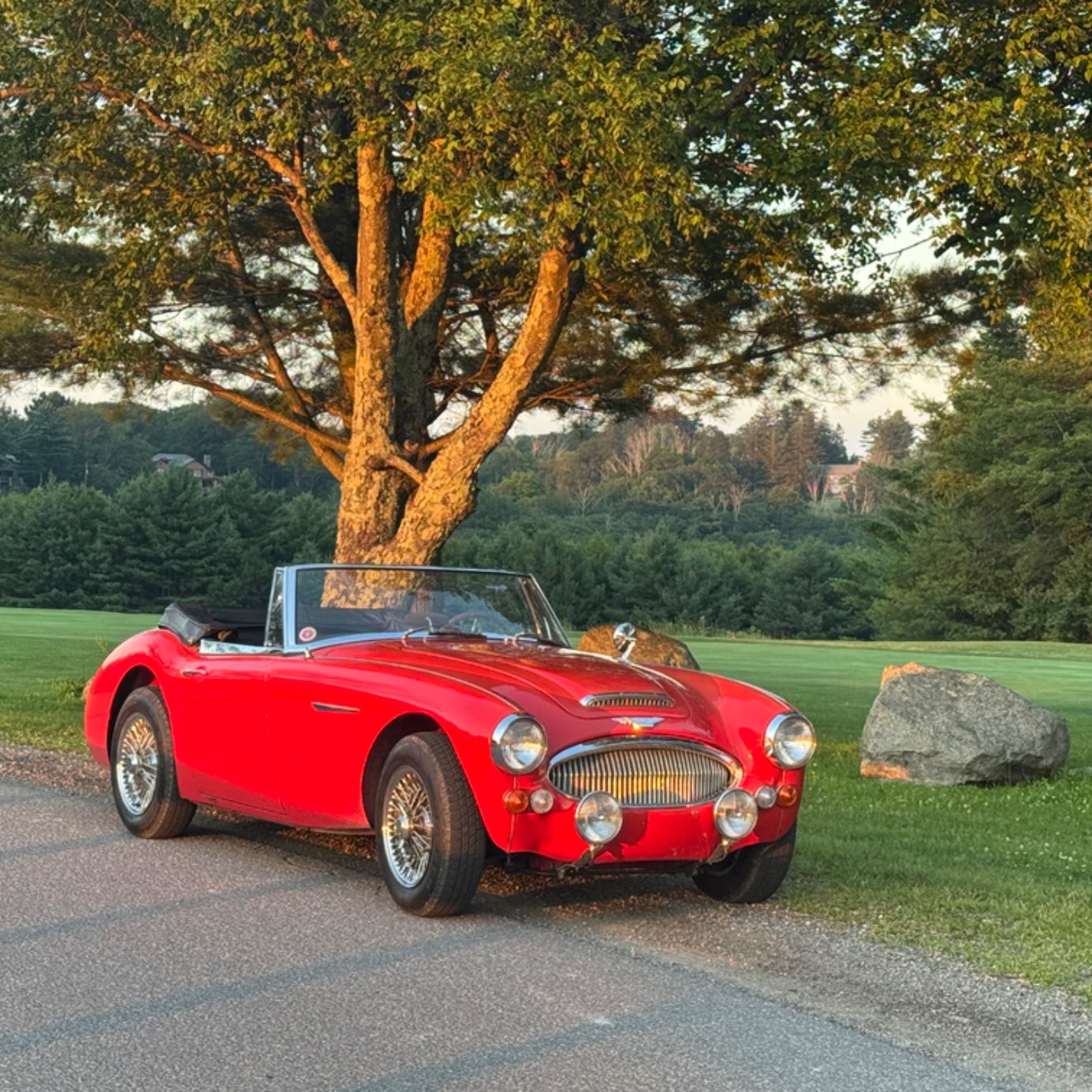 Profile of Brian Wilson