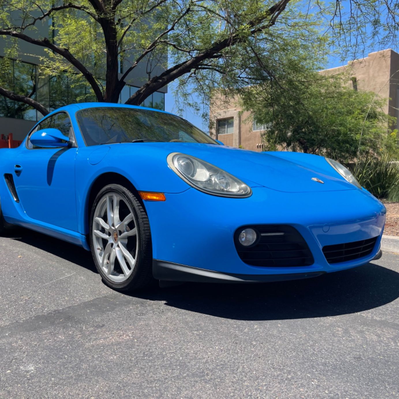 Profile of Hussain Hussain