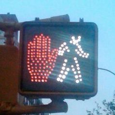 Profile of Larry Finer