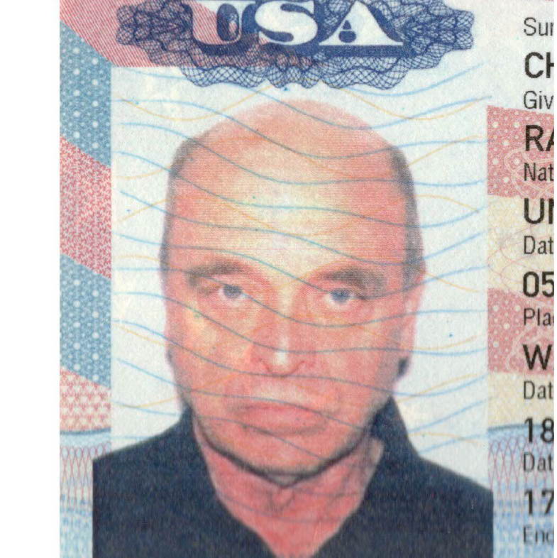 Profile of Randall Chiarelli