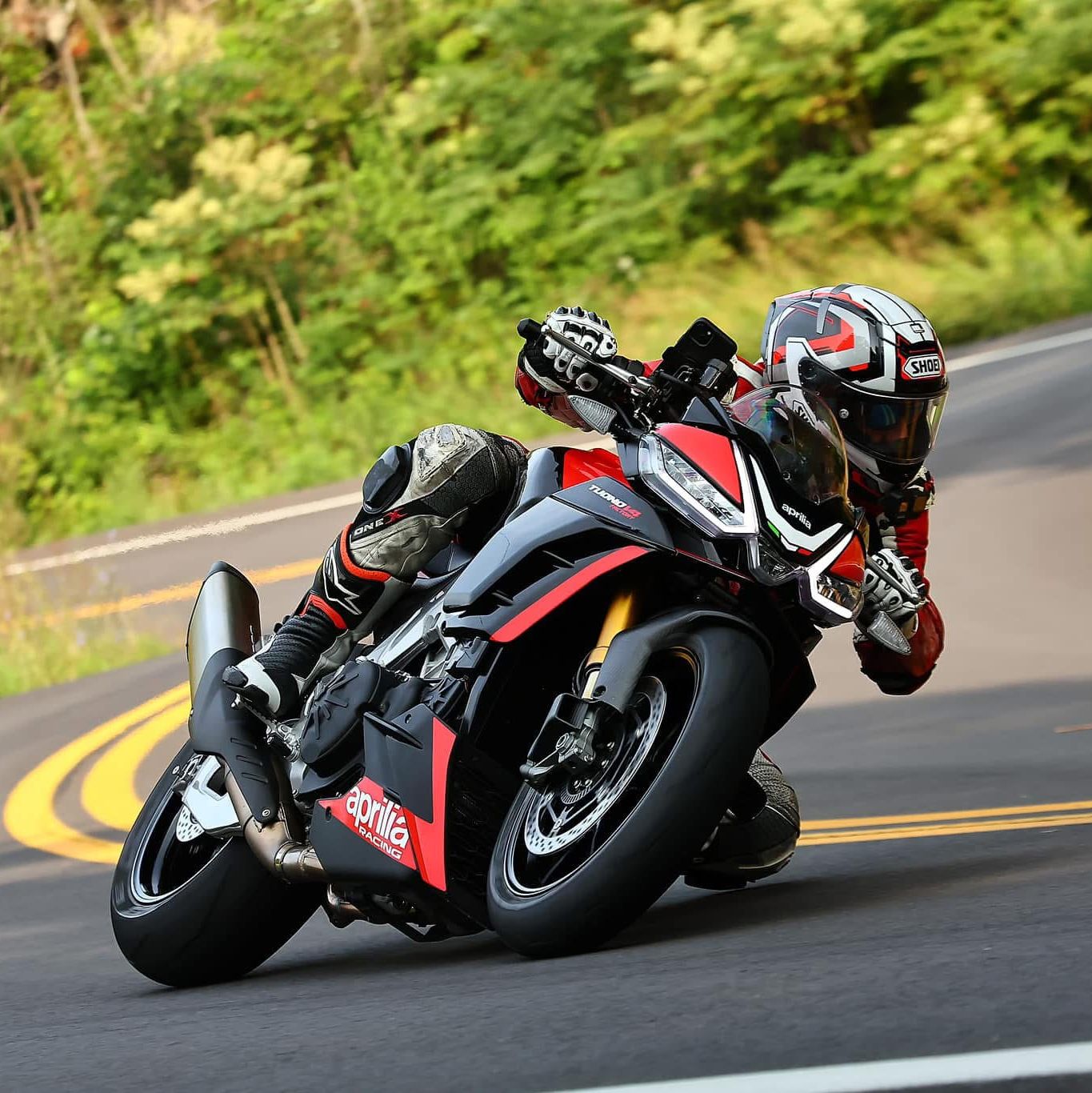 Profile of Brandon Blake