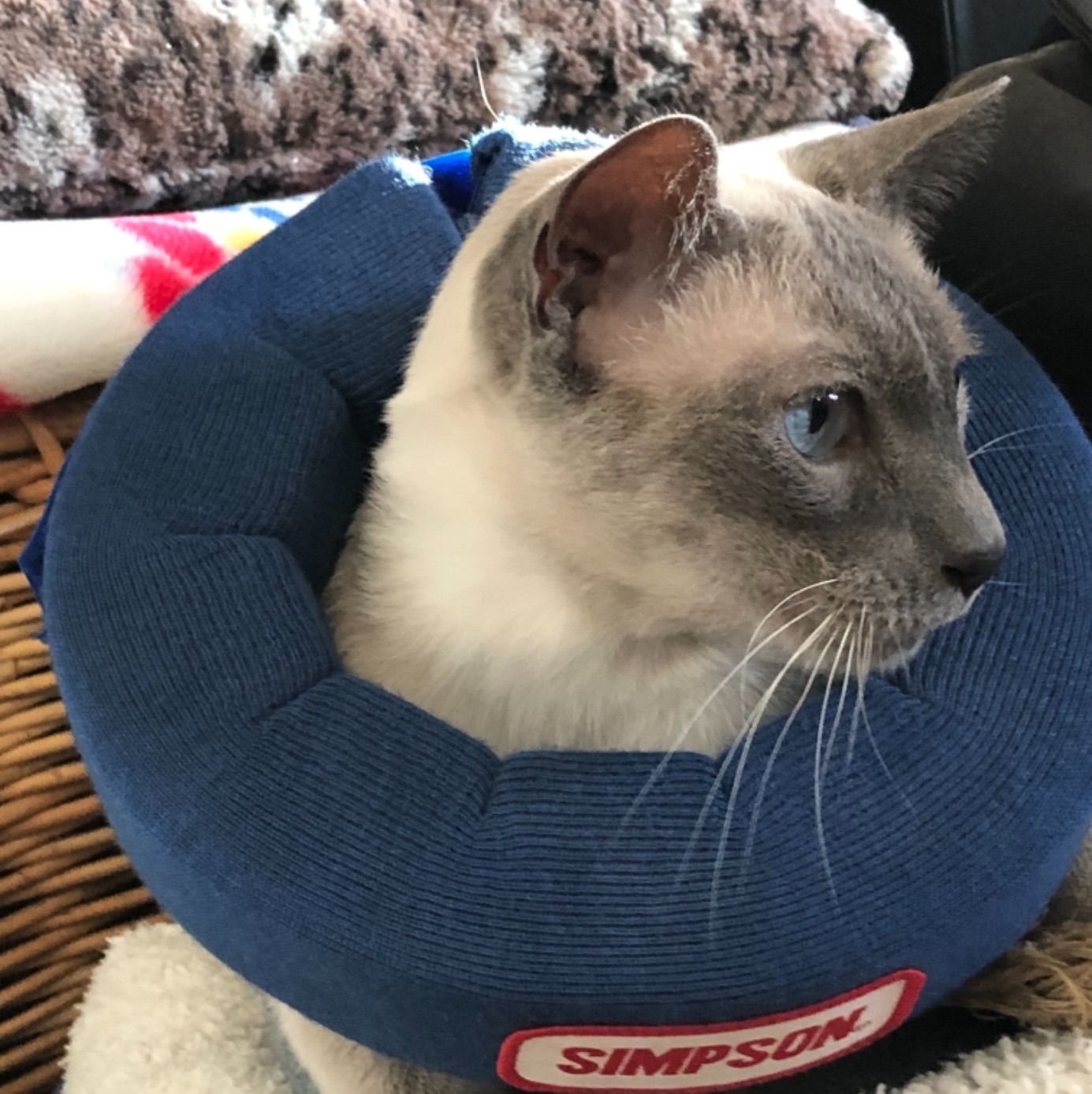 Profile of Chris Gasaway