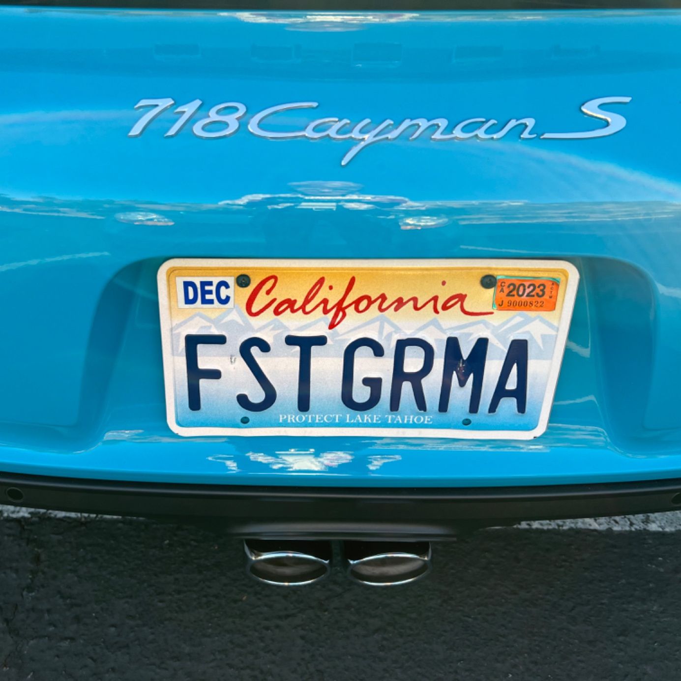 Profile of Shari Johnson