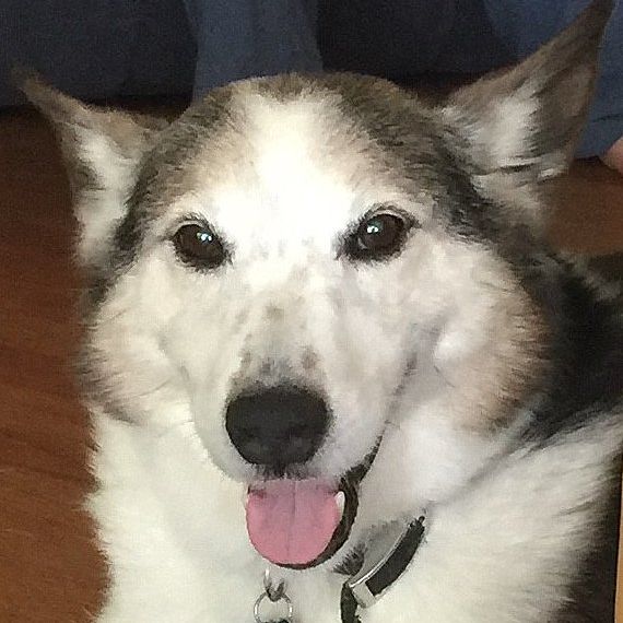 Profile of Richard Hunt