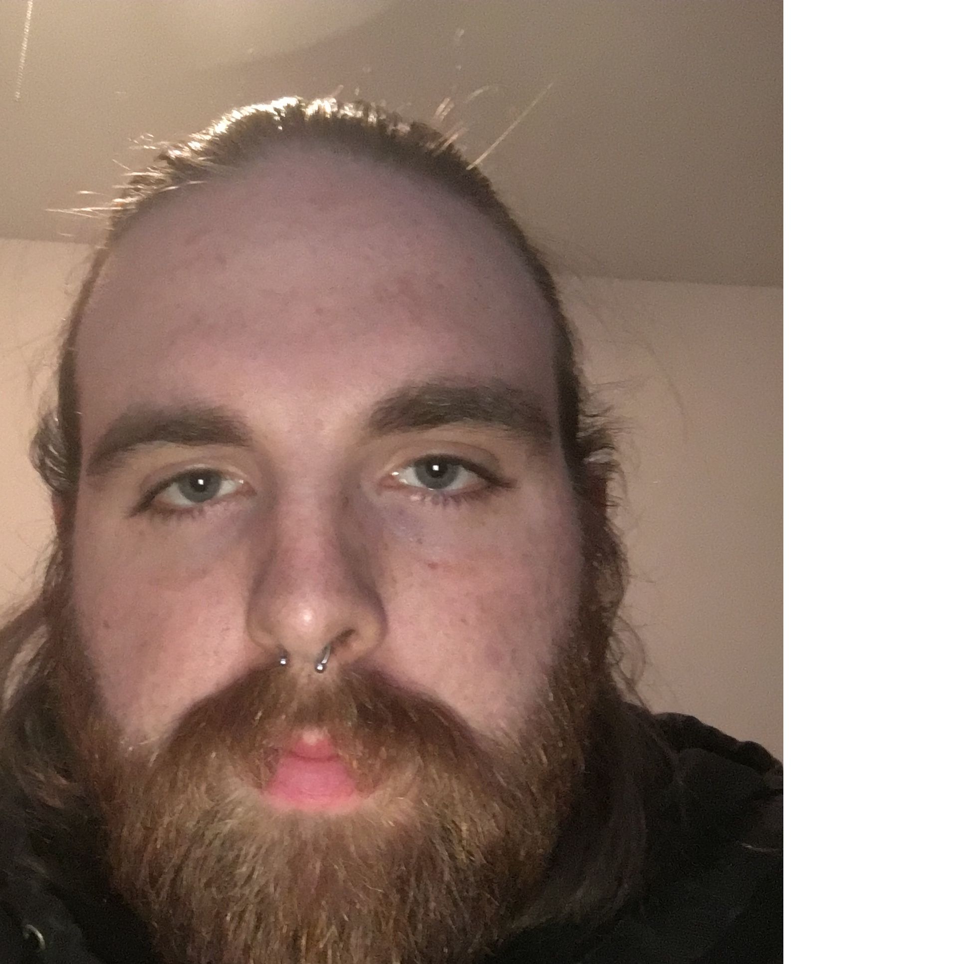 Profile of Dale Reamy III