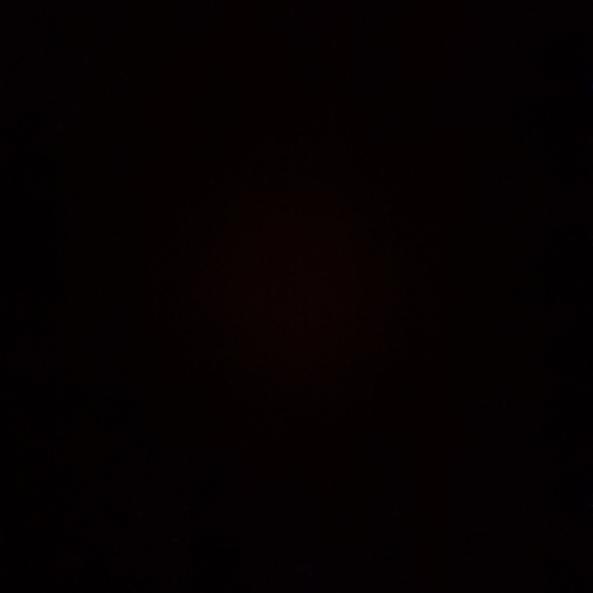 Profile of Jacob Opler