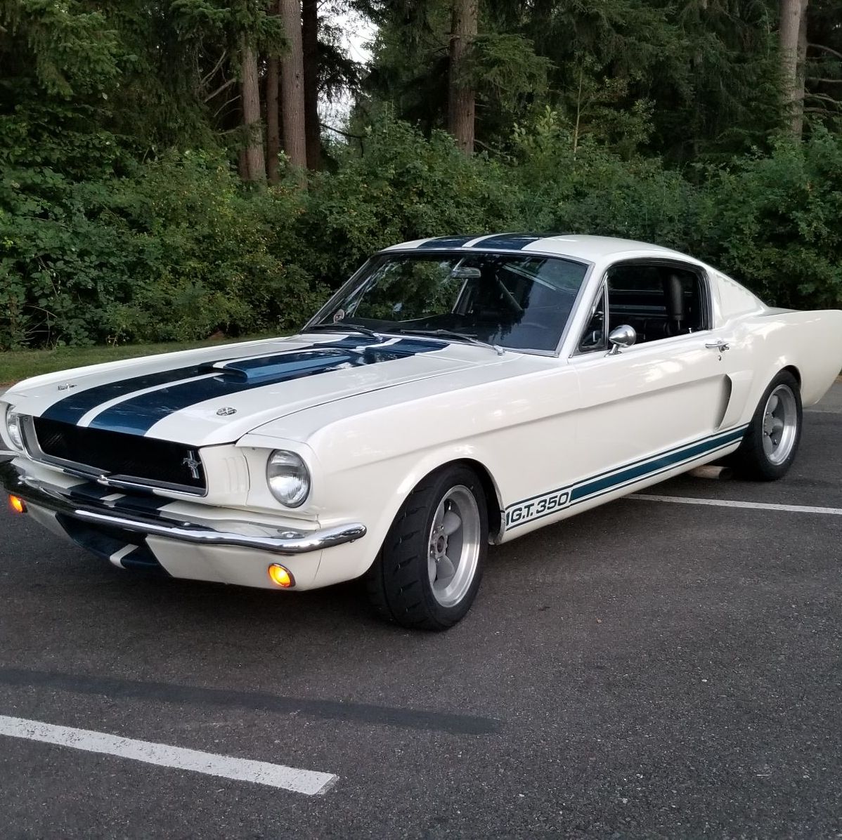 Profile of Kurt Wilson