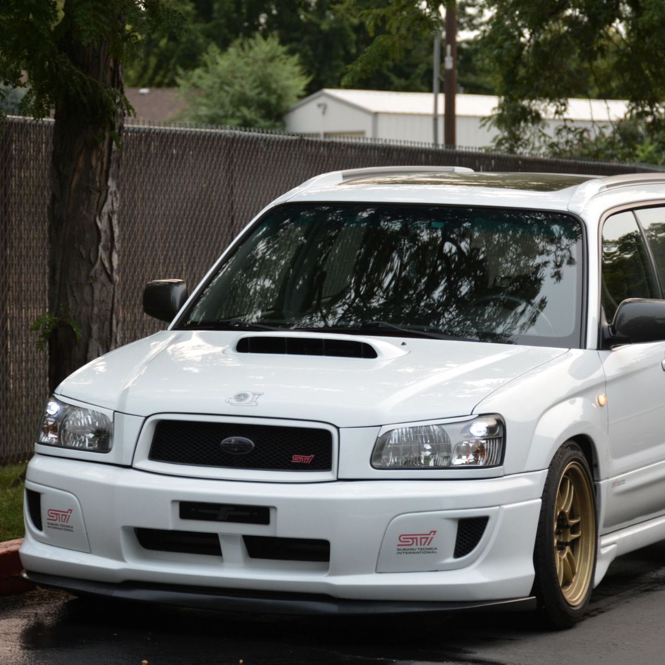 Profile of Joshua Cavero