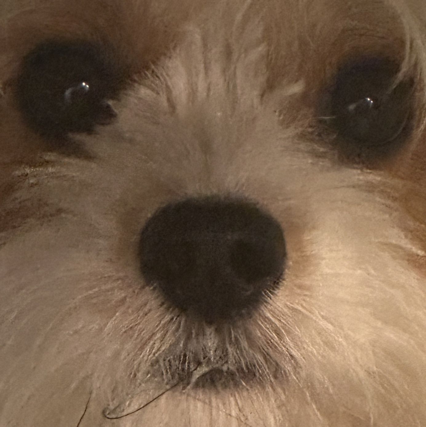 Profile of Sky Siljeg