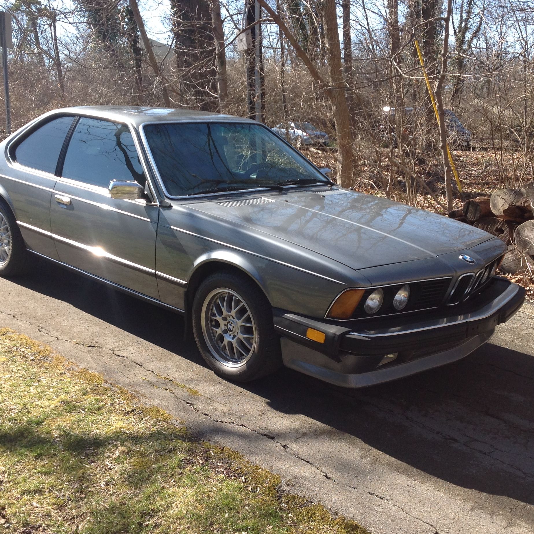 Profile of Alan Elgersma