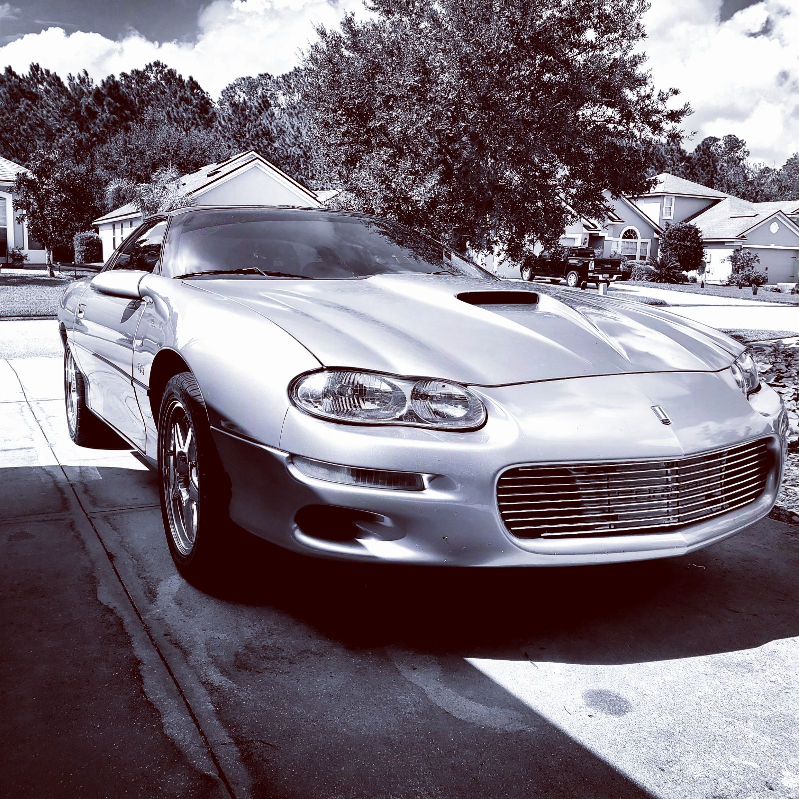 Profile of Christopher Barton