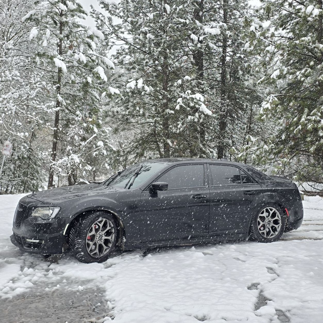 Profile of Troy Sheikh