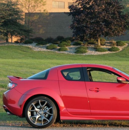 Profile of Sean Finn