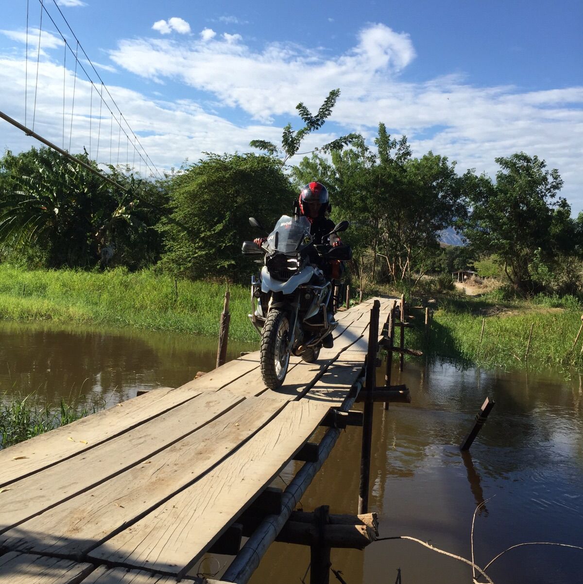 Profile of Henry Waters