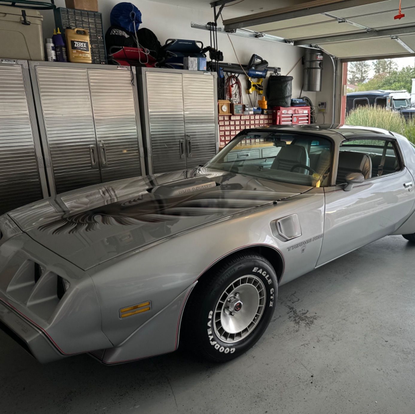 Profile of Tyler Gustafson