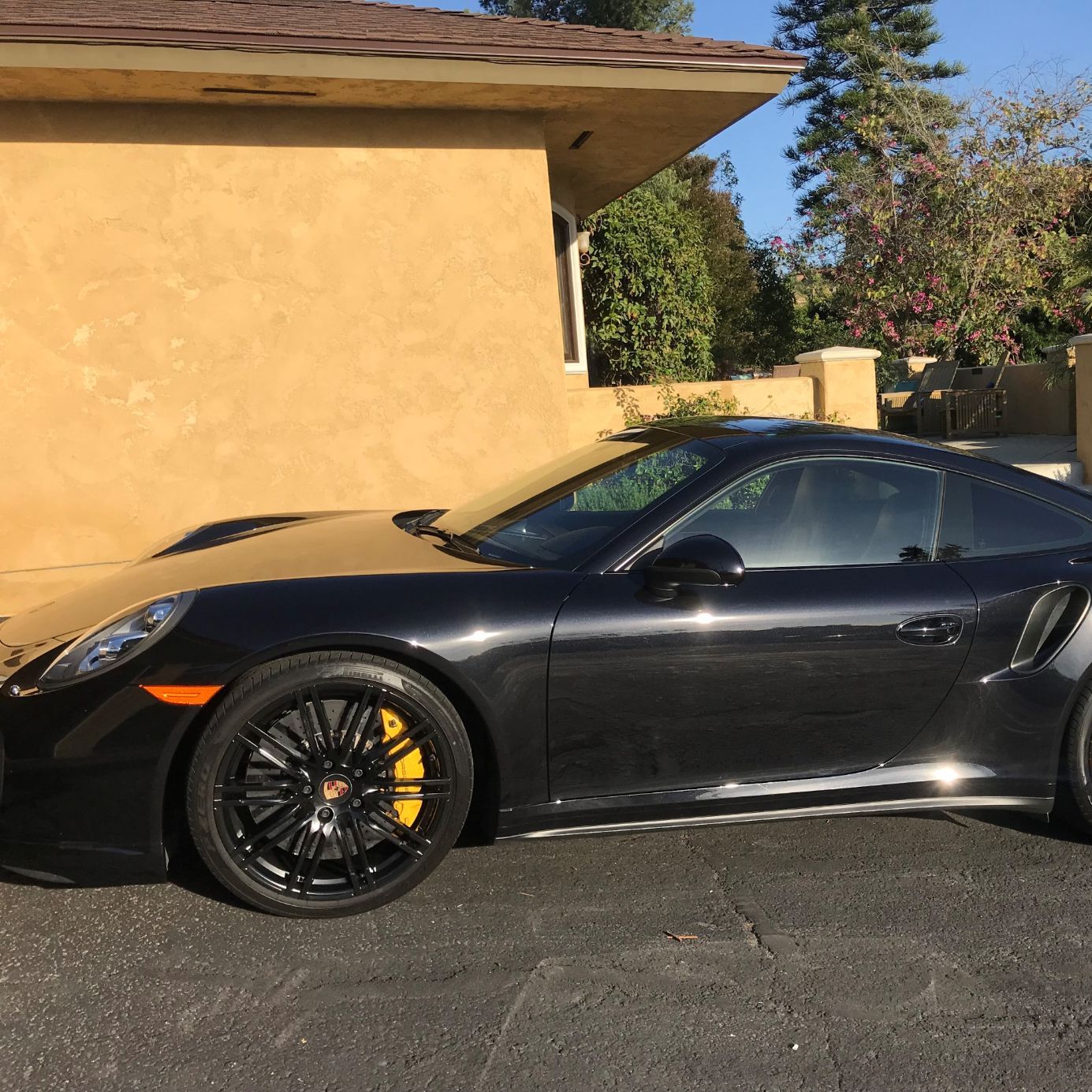 Profile of Patrick Bodine