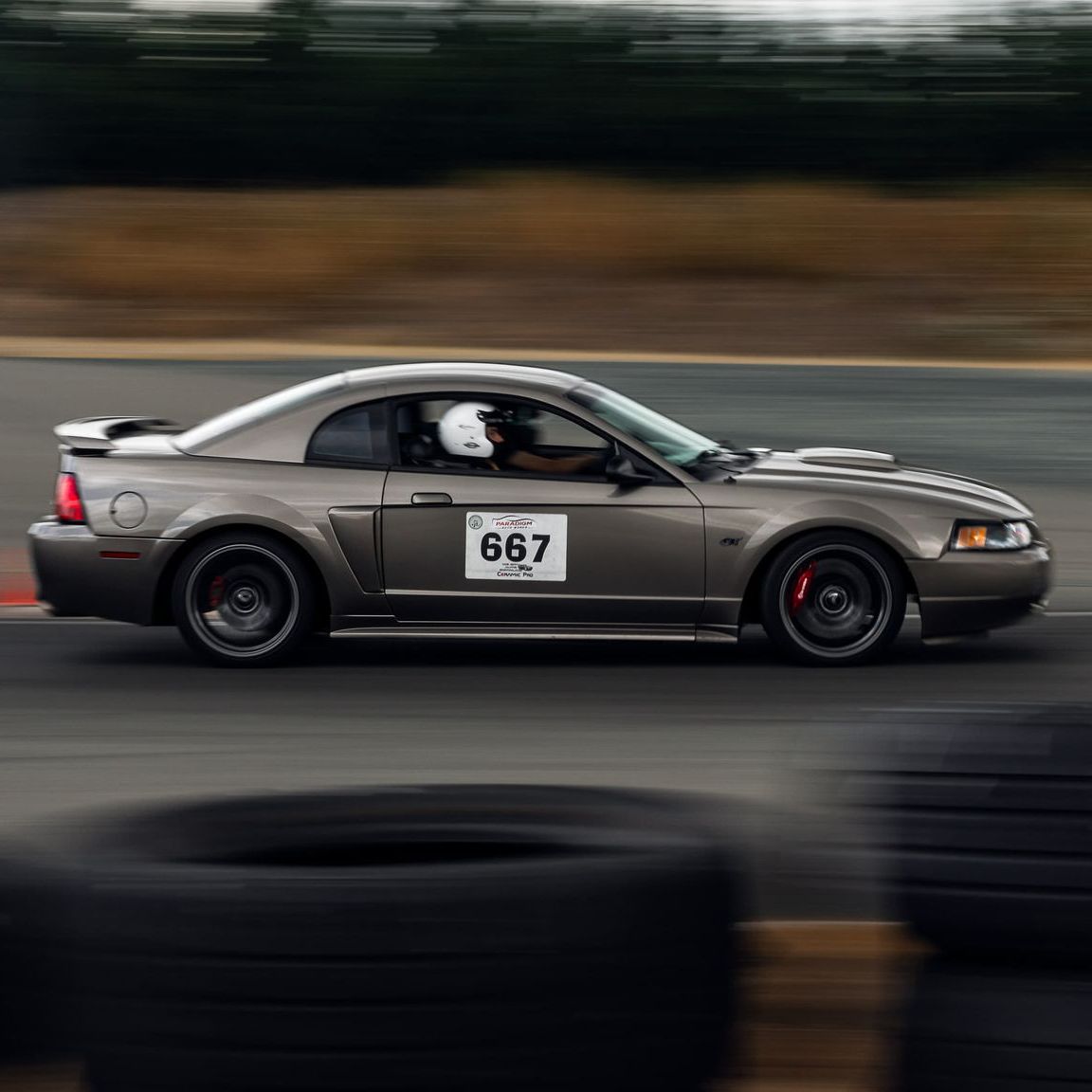 Profile of Shelby Gondor