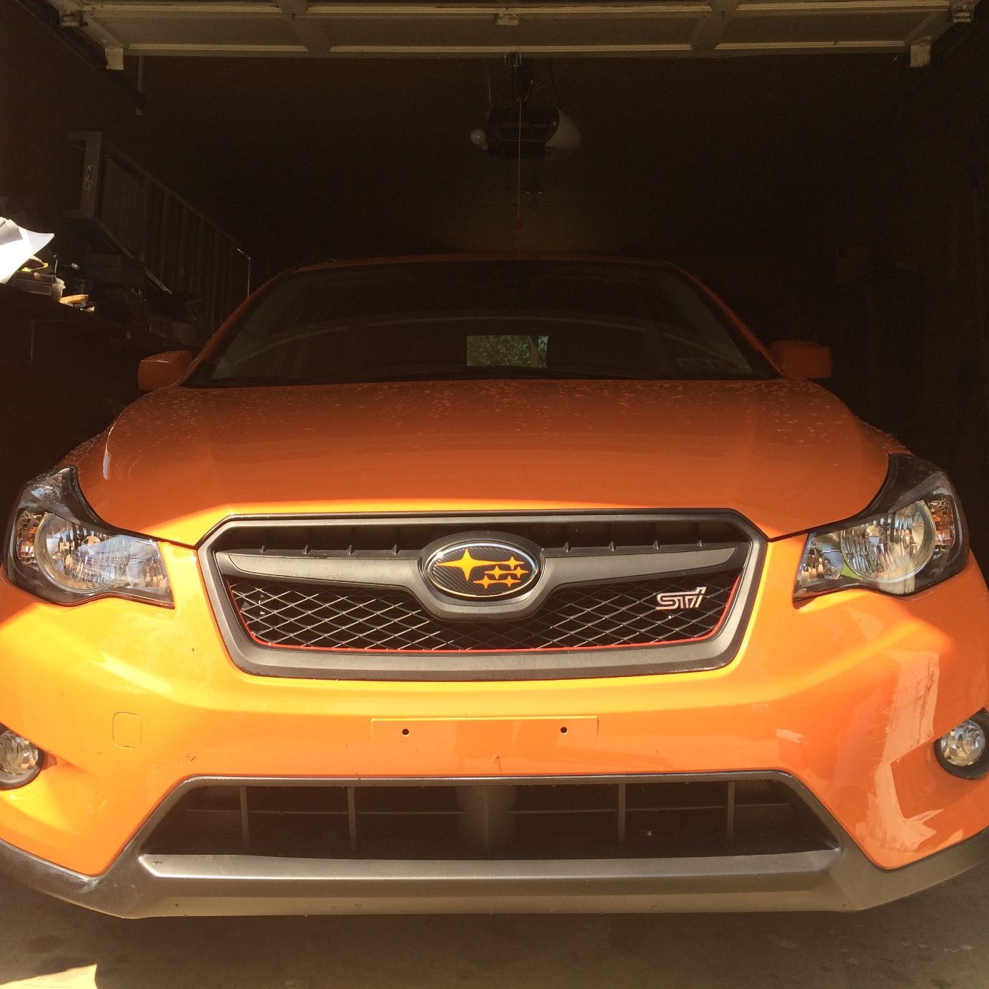 Profile of Phil Pappalardo