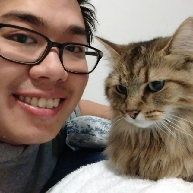 Profile of Kevin Chen