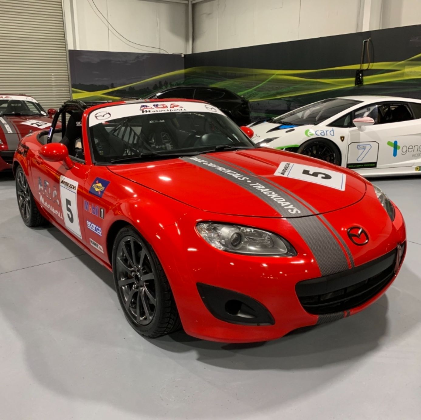 Profile of Juan Trejo