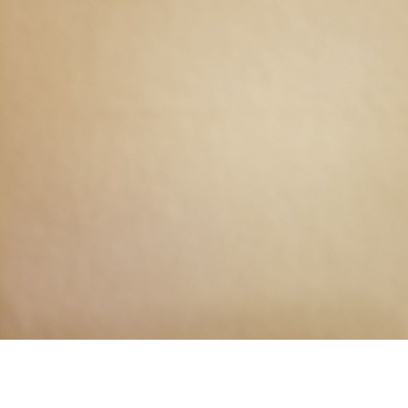 Profile of Sylvia Rice