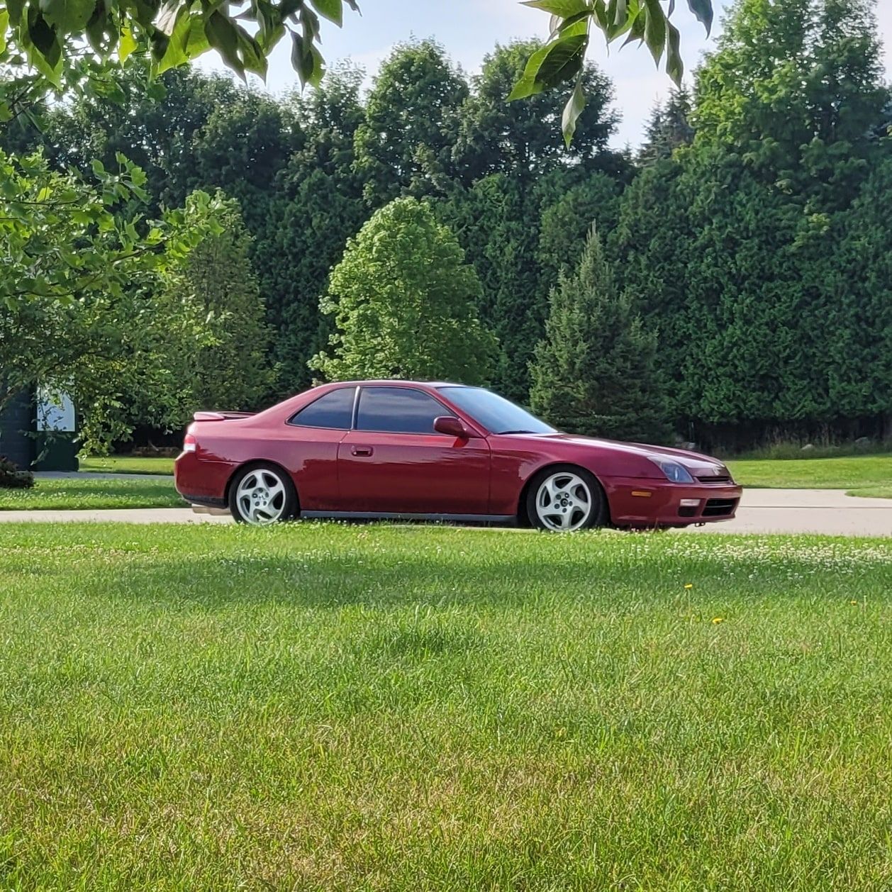 Profile of Colt Poulos