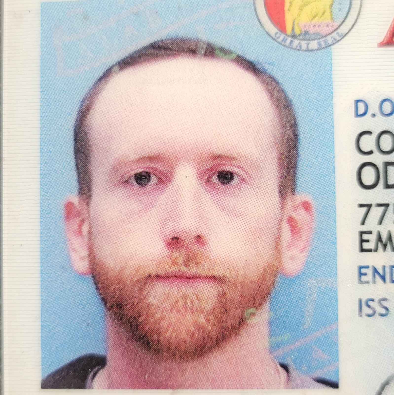 Profile of Cody Odom