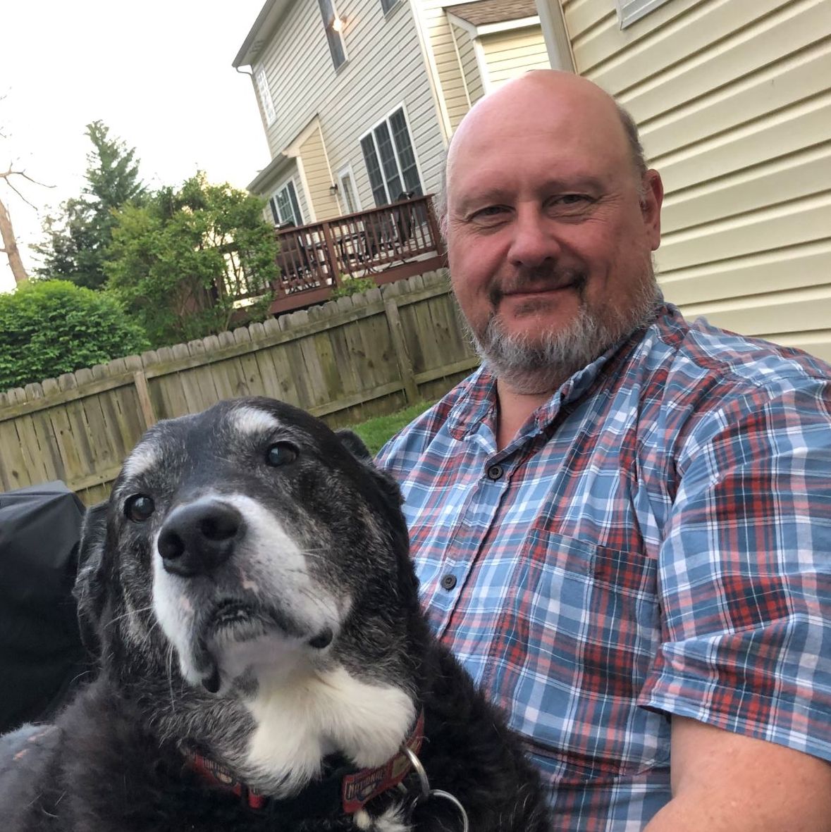 Profile of Bill Adams