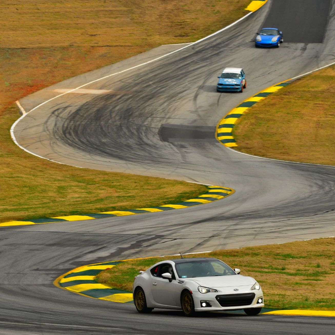 Profile of Adam Miszta