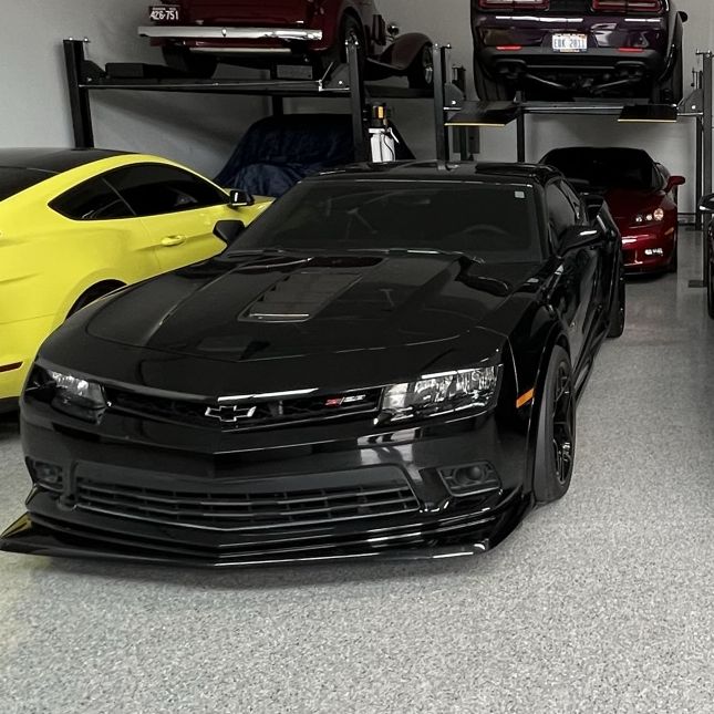 Profile of Alis Velic