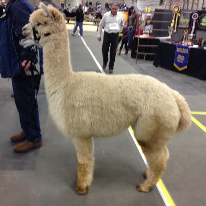 Profile of Rob Piasta