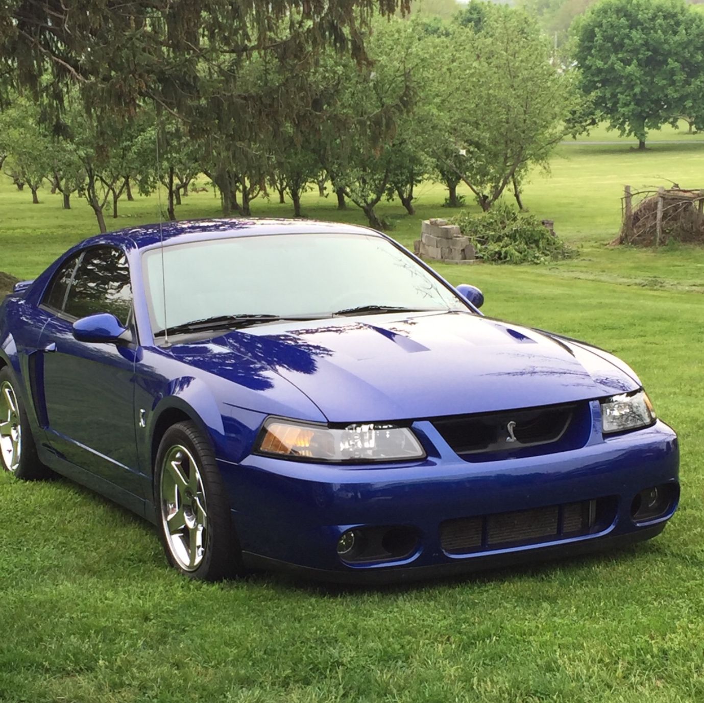 Profile of Thylan Mccurdy