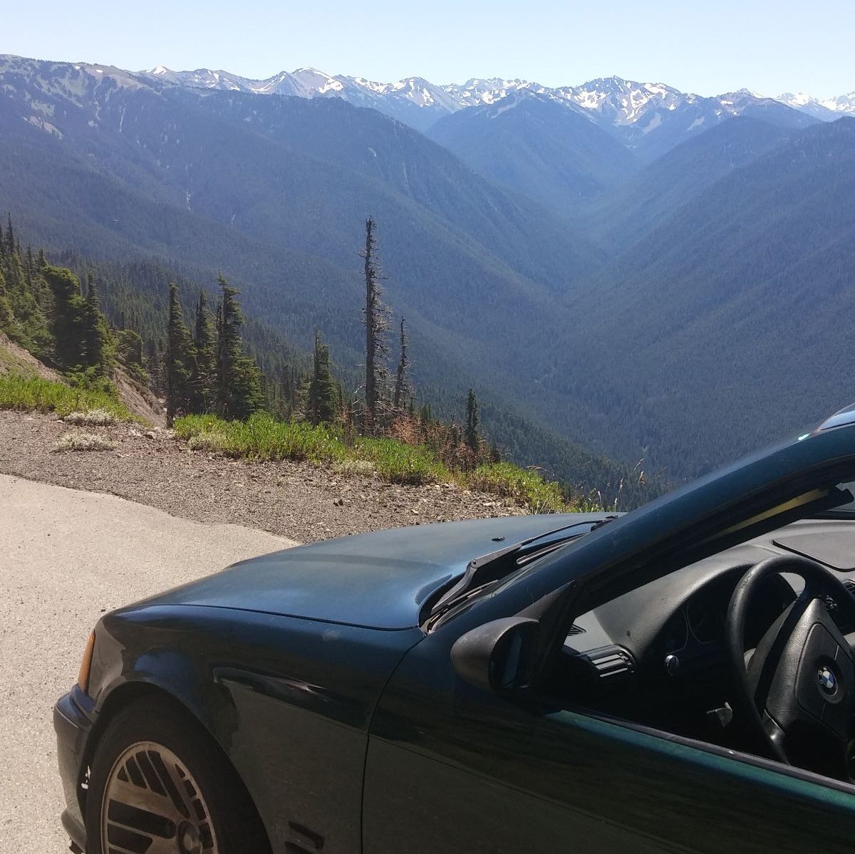 Profile of Alec Giovino