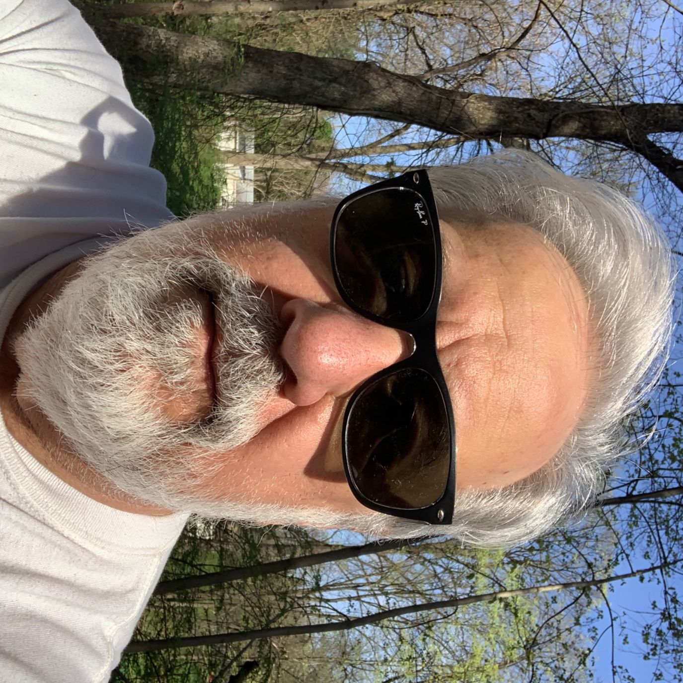 Profile of Robert Young