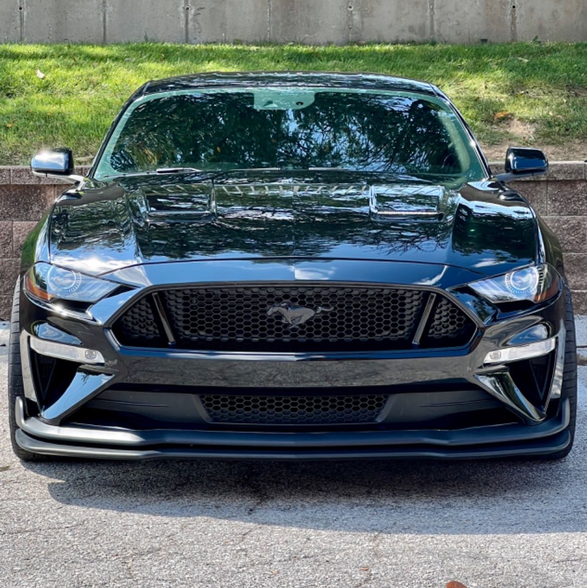 Profile of Jeevan Raj