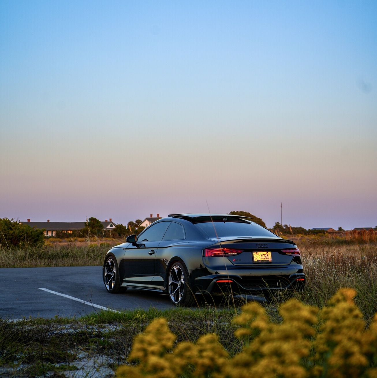 Profile of Melisa Wilcox