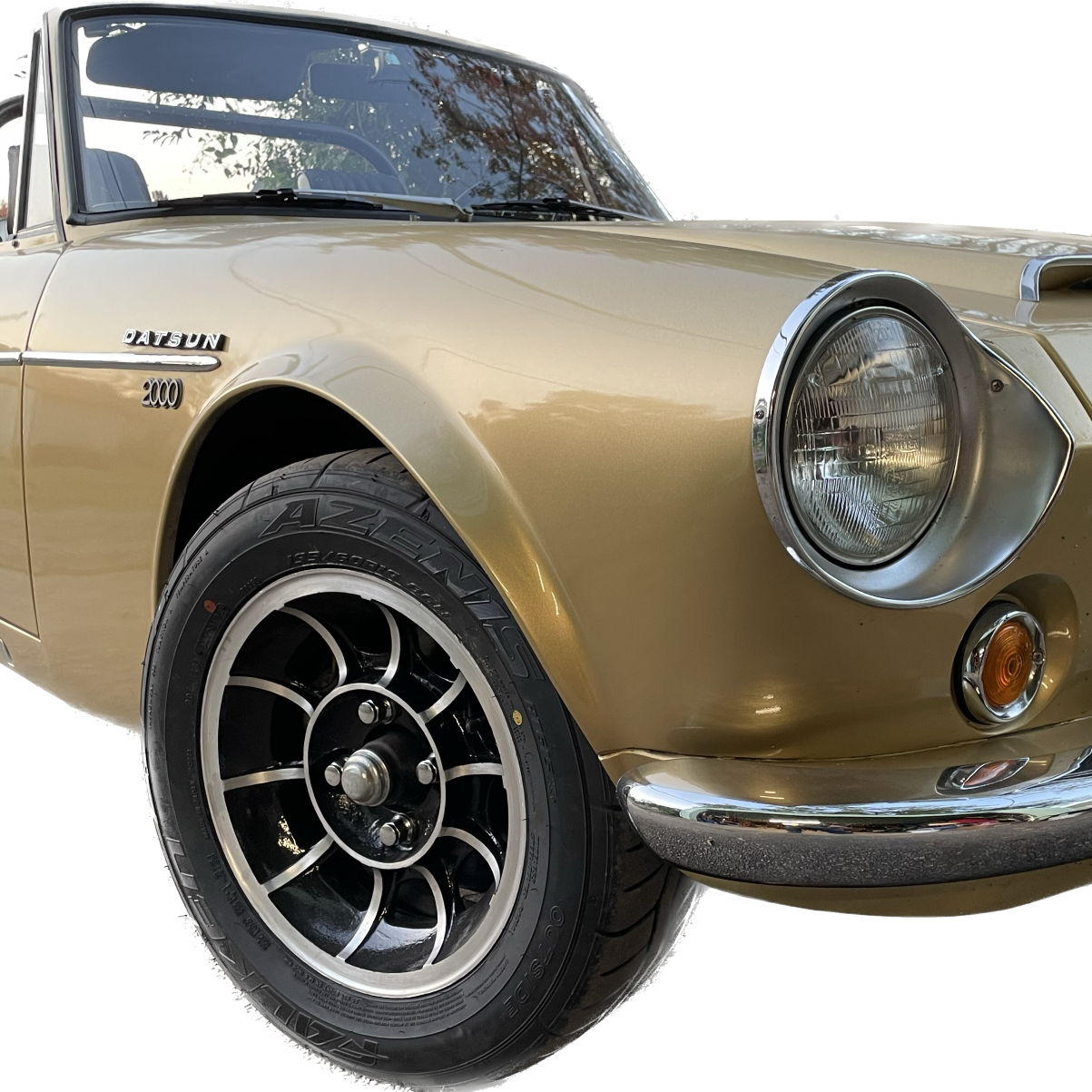 Profile of Matt Mainor