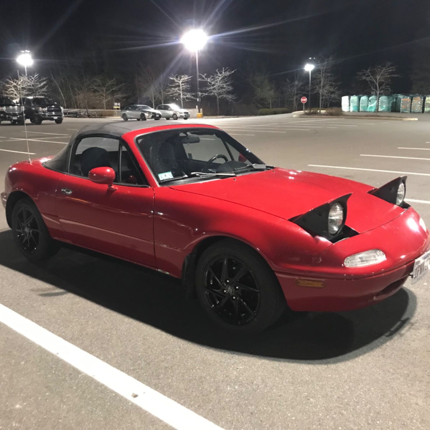 Profile of Heather Sonn