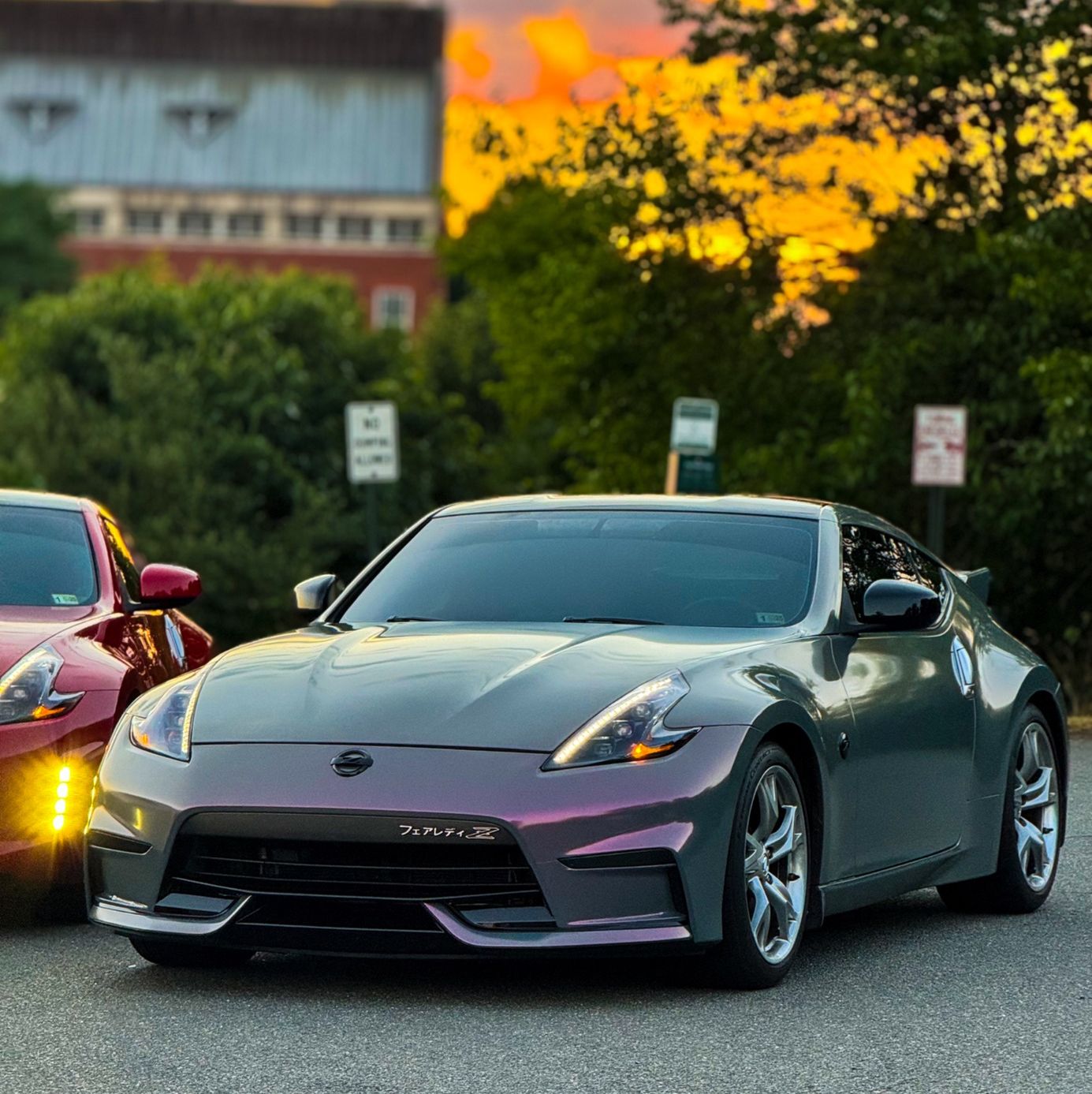 Profile of Alayna Graziano