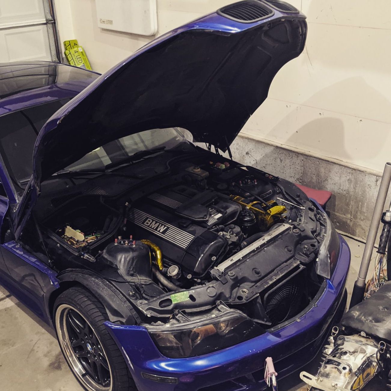 Profile of Rory Teehan