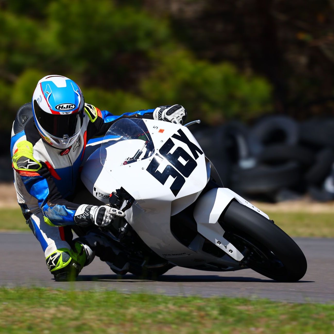 Profile of Michael Hausknecht