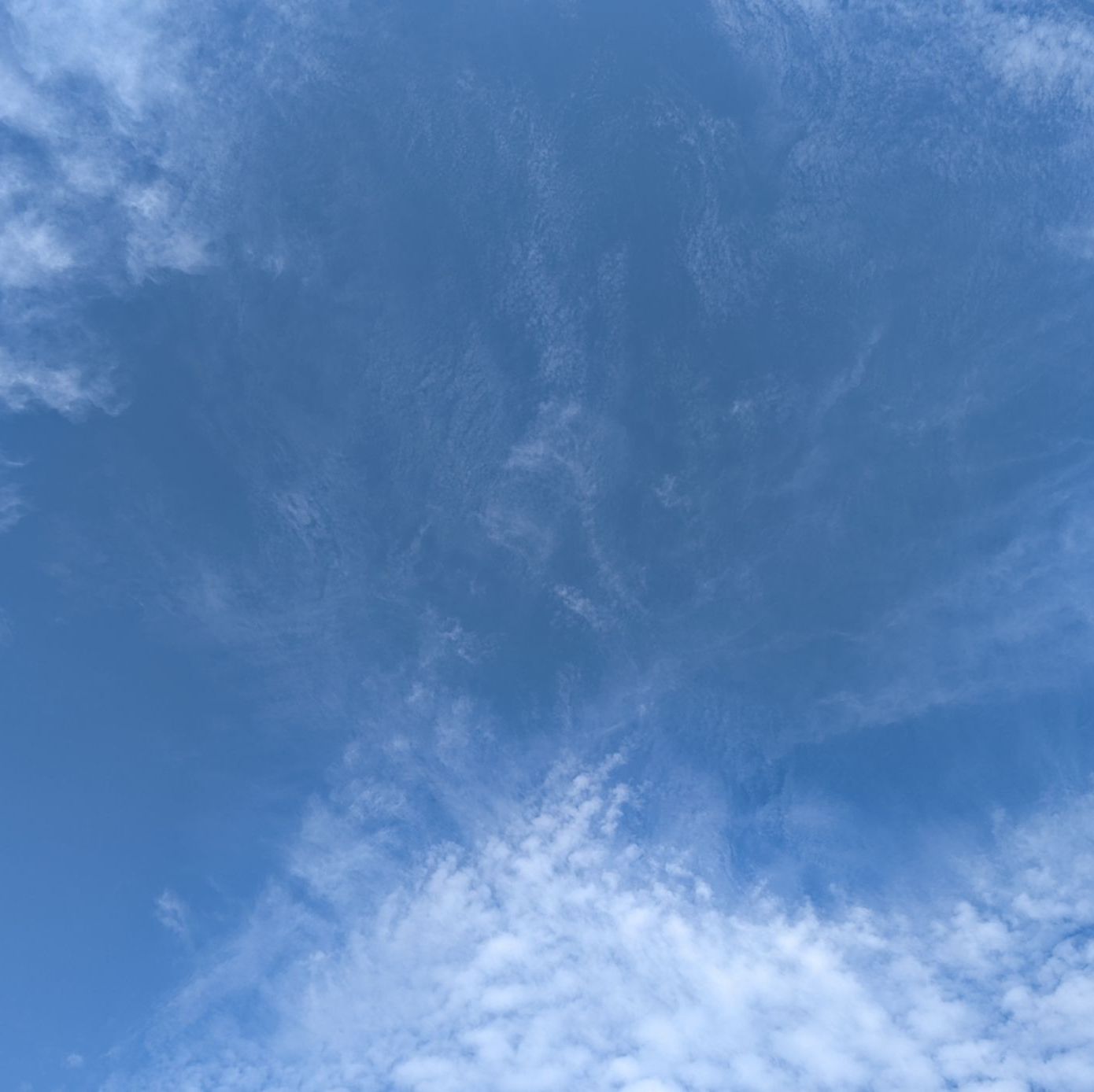 Profile of Melody Chu