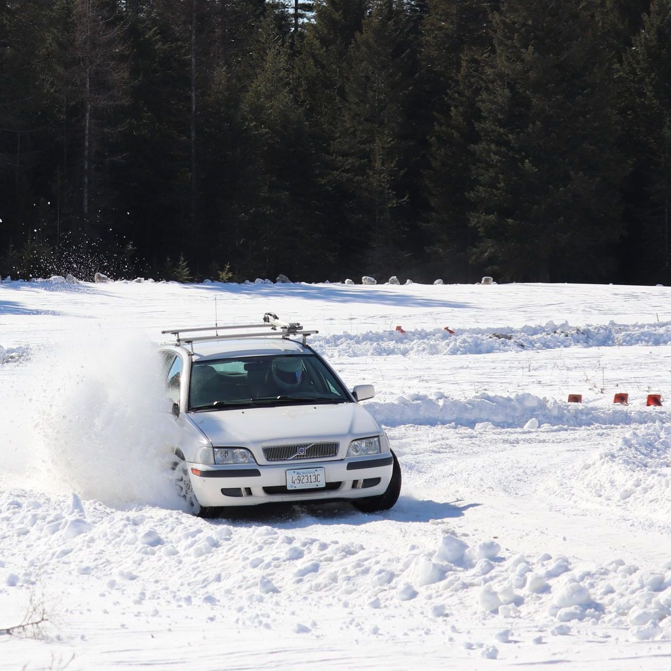 Profile of Stephan Edwards