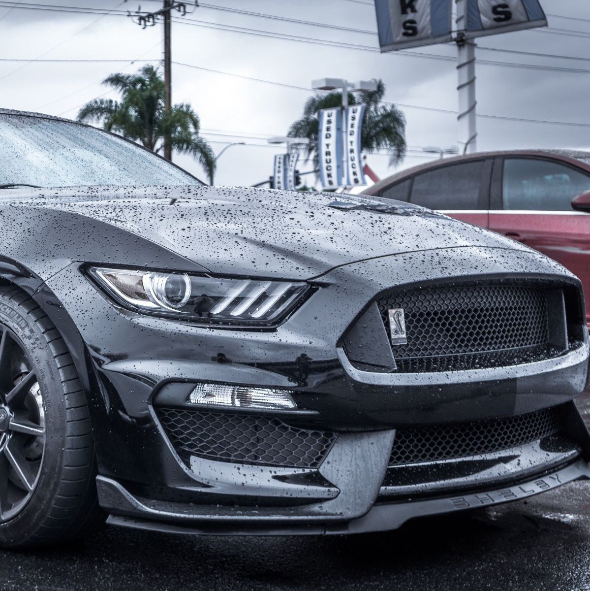 Profile of Raul Mazon