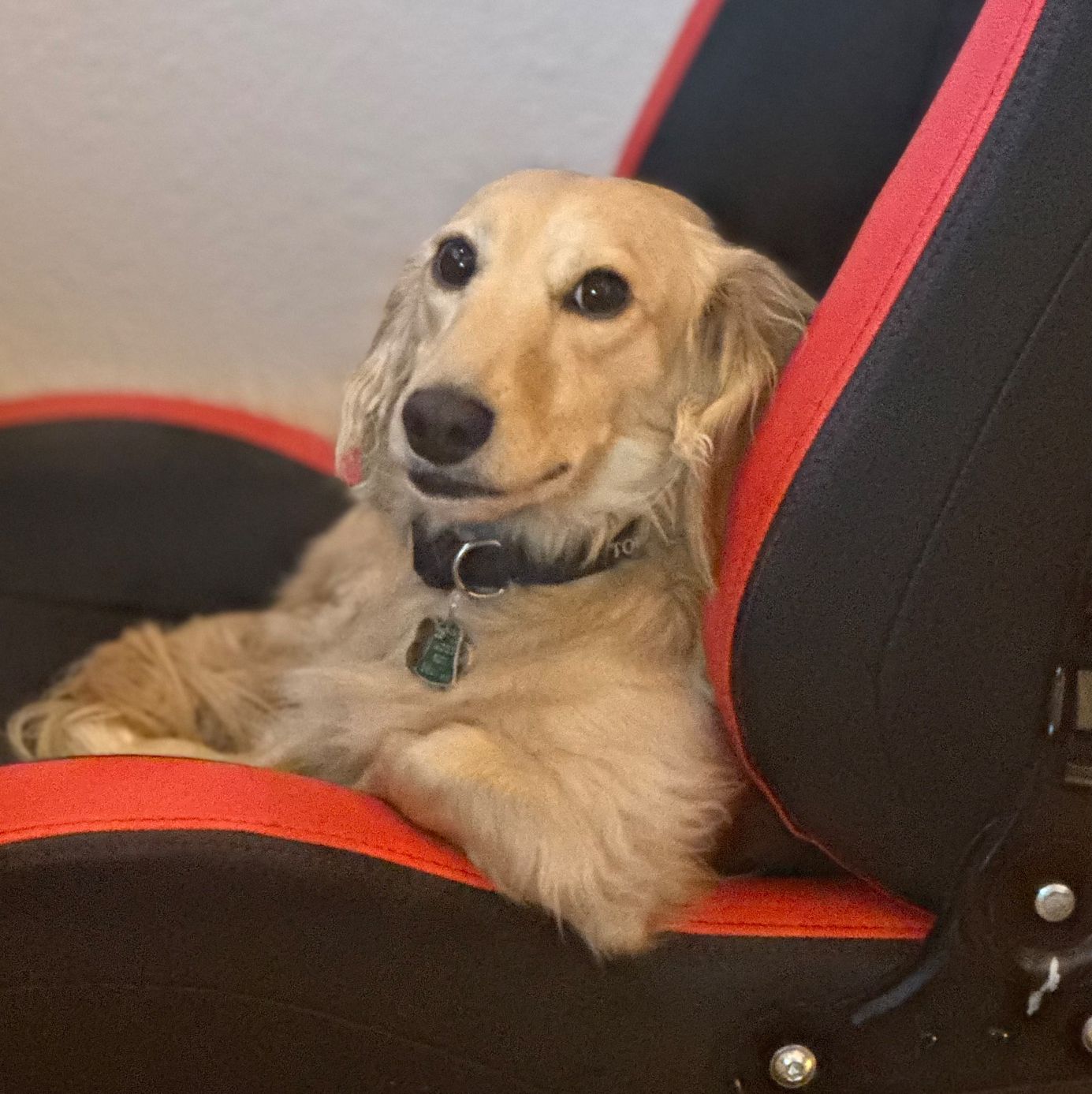 Profile of Juan Castillo