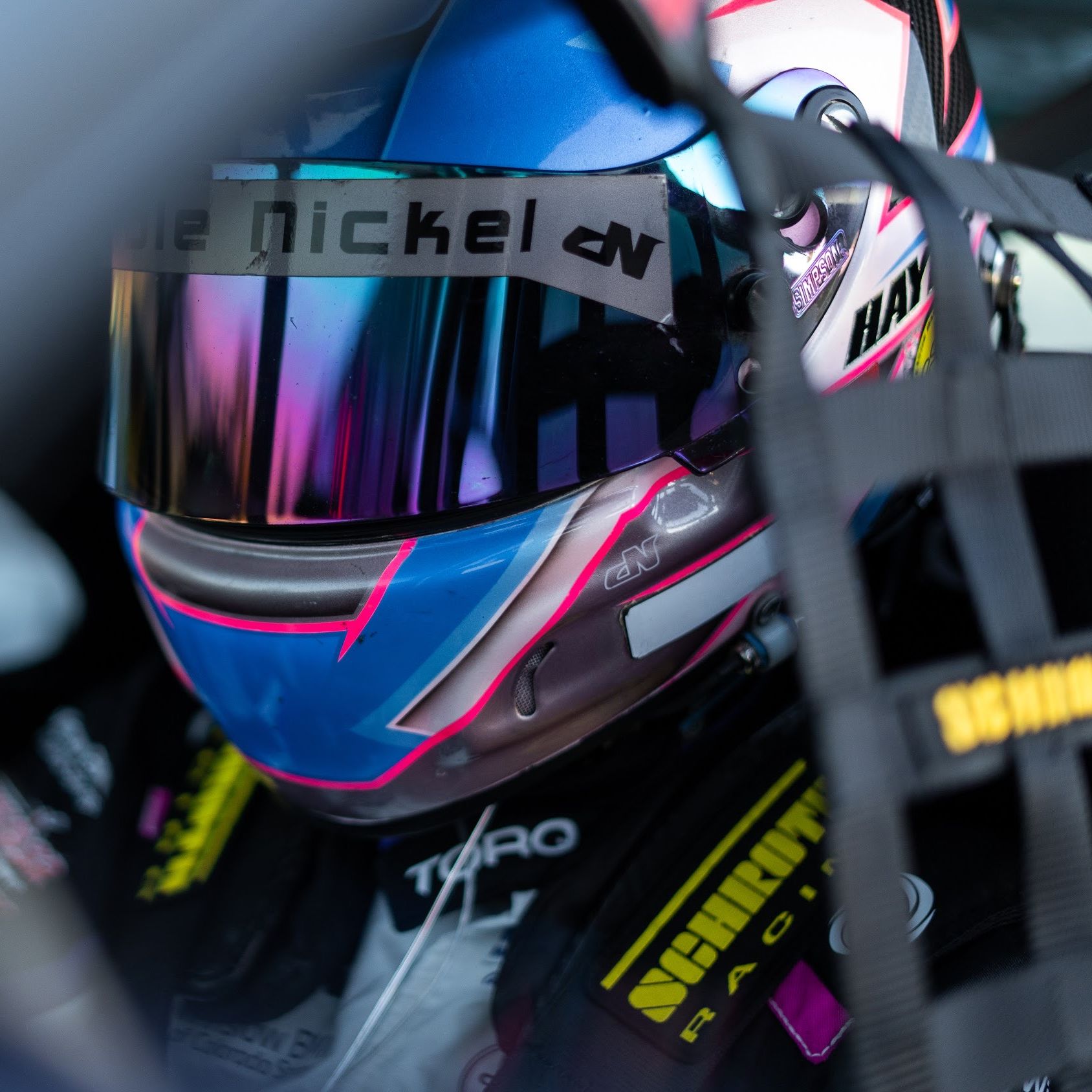 Profile of Laura Hayes X