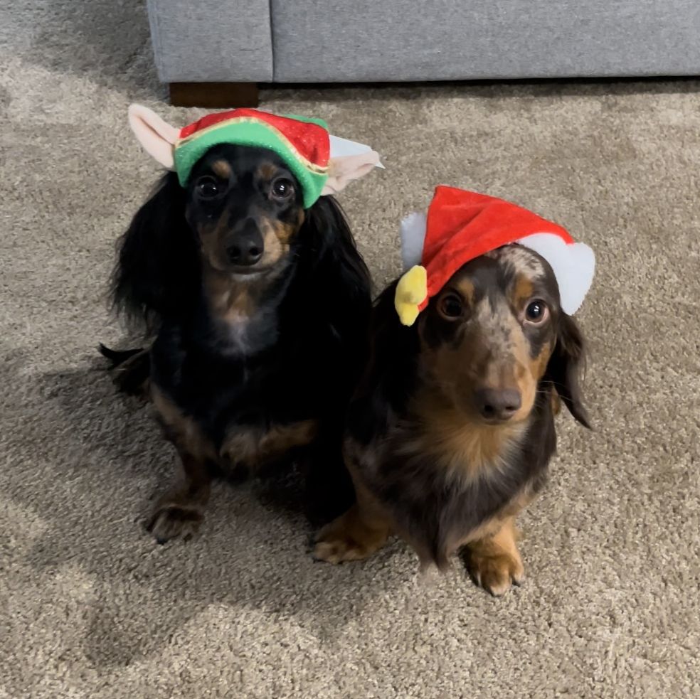 Profile of Dominik Pytka